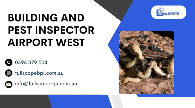 What Are the “Big Four” Red Flags Only Building and Pest Inspectors Can Spot?