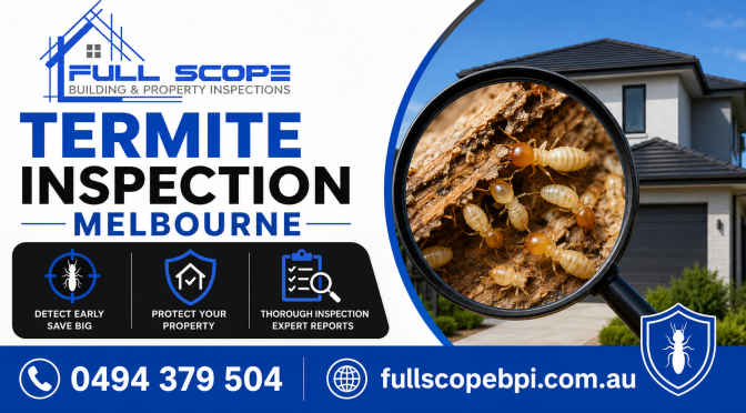 How to Spot Early Signs of Termite Damage Before They Tank Your Home’s Value?